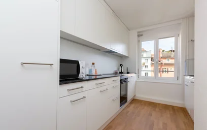 Logement entier à Elisabethenstrasse, image 14 de 20