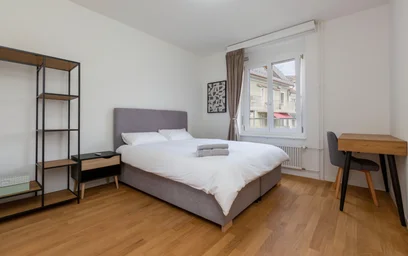 Logement entier à Elisabethenstrasse, image 6 de 20