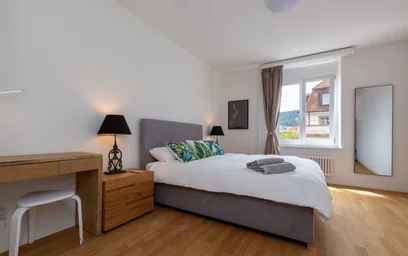 Logement entier à Elisabethenstrasse, image 9 de 20