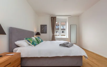 Logement entier à Elisabethenstrasse, image 10 de 20