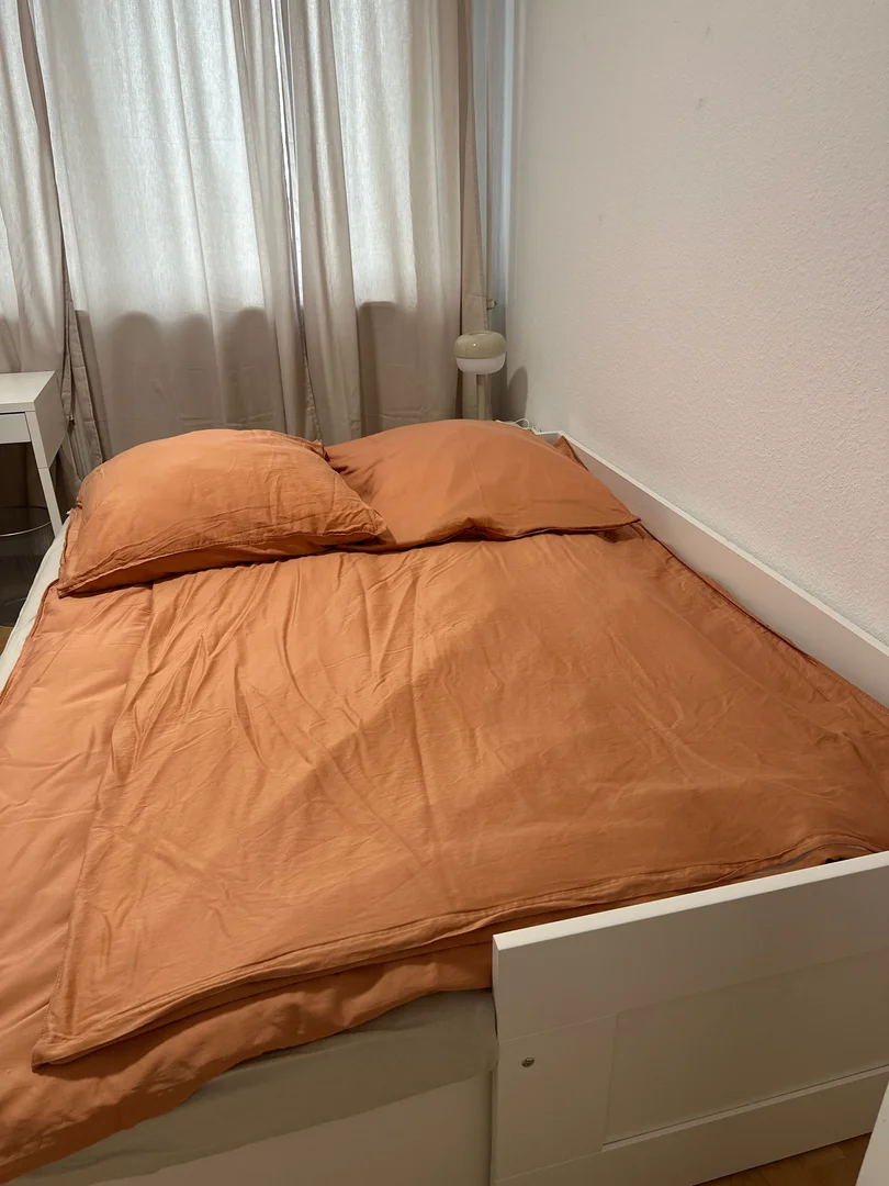 Chambre conviviale pour les étudiants dans  avec des équipements modernes