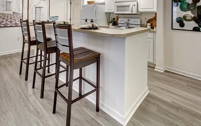 Alojamiento entero en residencia en The Province, 10921 McKinley Dr, Tampa, FL 33612, imagen 3 de 30