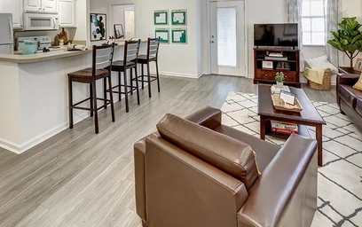 Alojamiento entero en residencia en The Province, 10921 McKinley Dr, Tampa, FL 33612, imagen 7 de 25