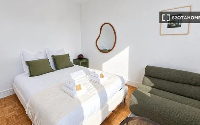 Entire apartment at Rue Boissonade, image 4 of 16