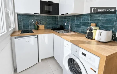 Entire apartment at Rue Boissonade, image 7 of 16