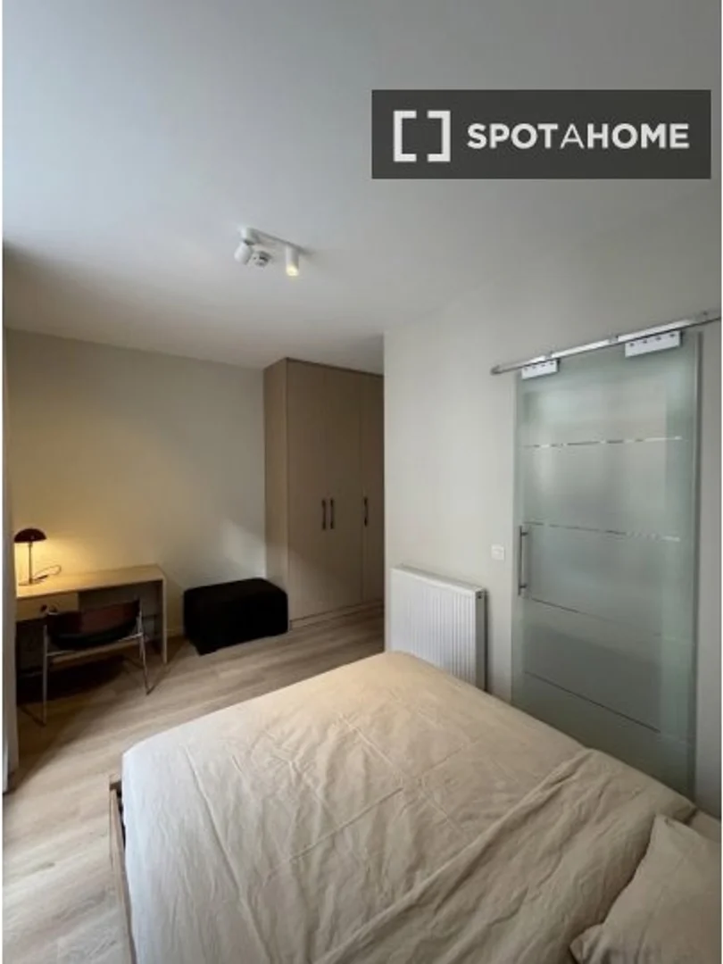 Chambre à louer dans un appartement d'étudiant à , entièrement meublée