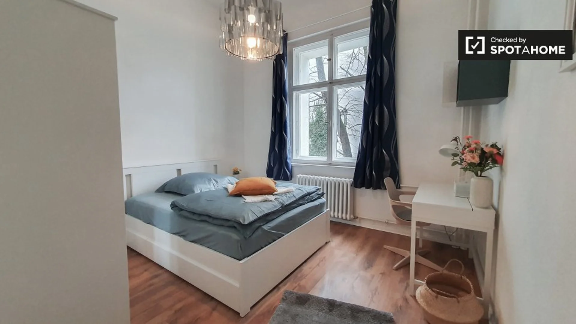 Affordable room for students with ample lighting in 