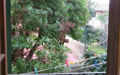 {area} de modern ve aydınlık daire
