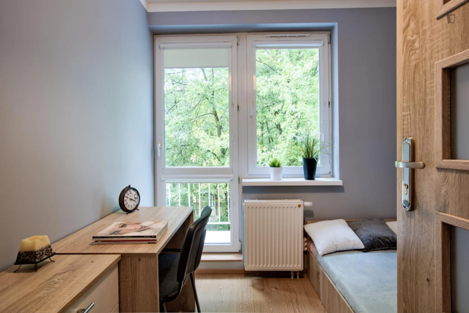 Student-friendly room in with modern amenities