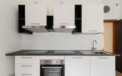 Habitación privada en Via Ernesto Breda, imagen 7 de 18