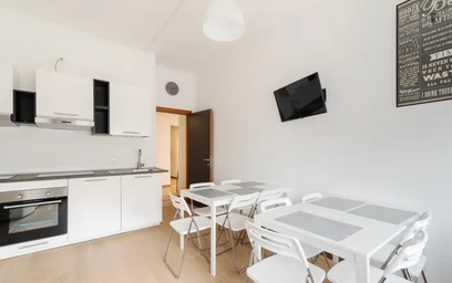 Habitación privada en Via Ernesto Breda, imagen 8 de 18