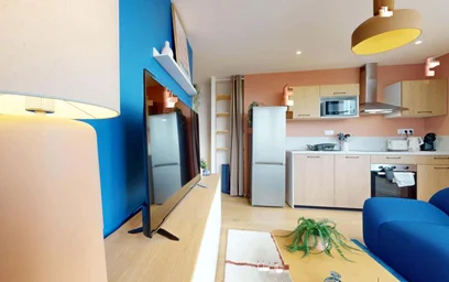 Özel oda konumu 50 Rue Saint-Maurice, 69008 Lyon, France, 11 17 görüntüsü