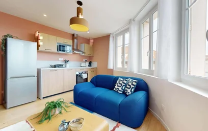 Özel oda konumu 50 Rue Saint-Maurice, 69008 Lyon, France, 12 17 görüntüsü