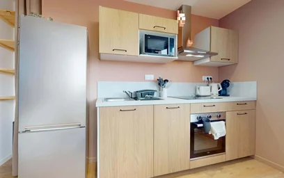 Özel oda konumu 50 Rue Saint-Maurice, 69008 Lyon, France, 13 17 görüntüsü