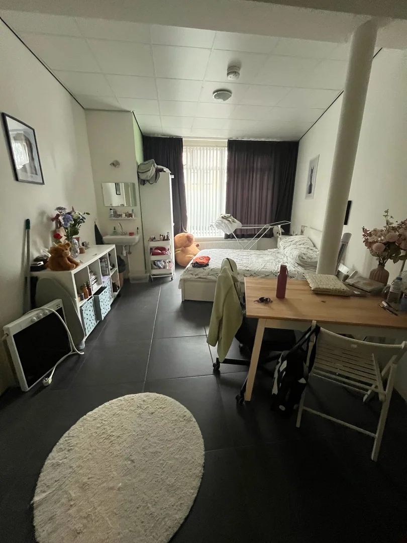 Bezahlbares Zimmer für Studenten mit ausreichender Beleuchtung in 