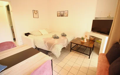 Entire apartment at Boulevard Marie et Alexandre Oyon, image 7 of 24