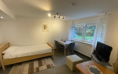 Alojamiento con 3 habitaciones en {area}