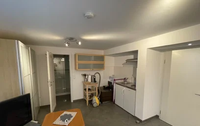 Appartamento intero in Mannspergerstraße, Heumaden, immagine 8 di 10