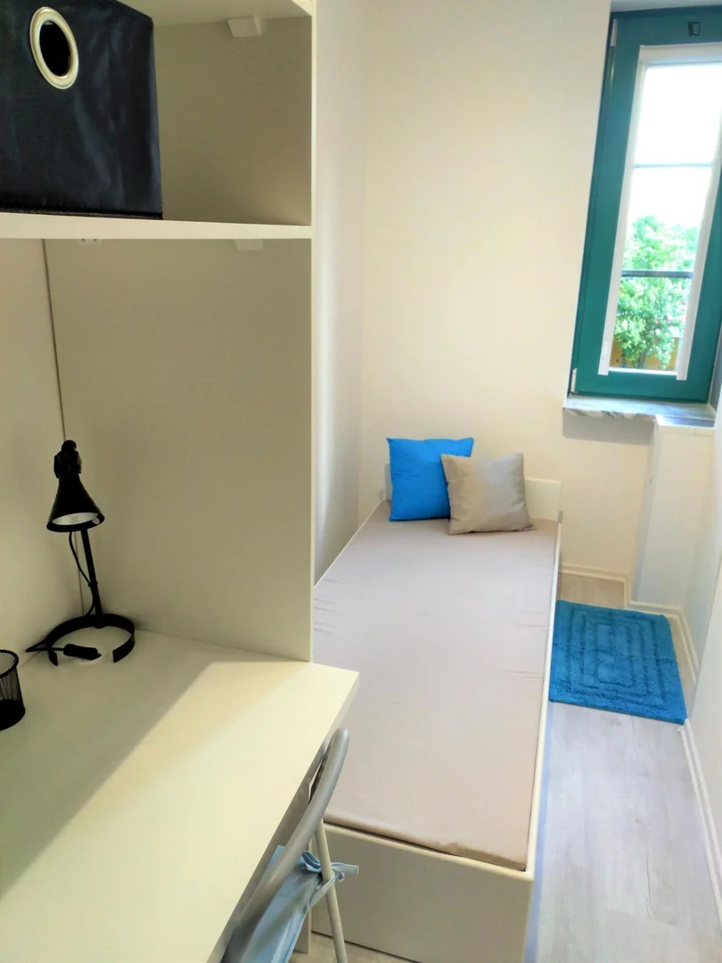 Habitación estudiantil económica cerca del campus en