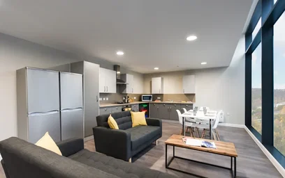 Stanza privata in residence in New Cut Rd, Swansea SA1 2DN, UK, immagine 2 di 22