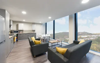 Stanza privata in residence in New Cut Rd, Swansea SA1 2DN, UK, immagine 3 di 22
