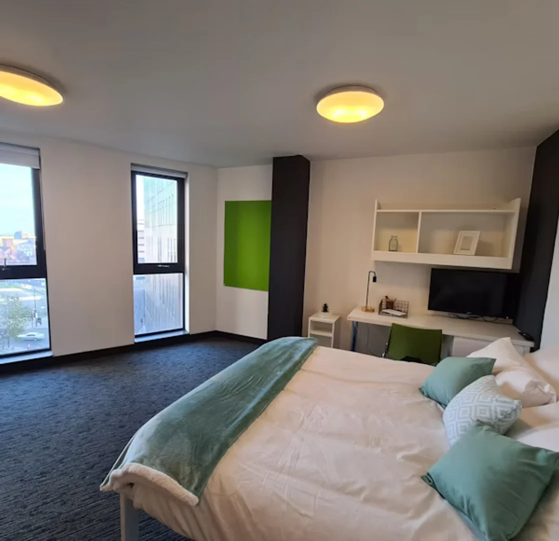 Cómodo estudio para vivir como estudiante en