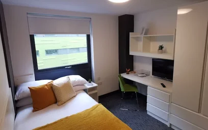 Estudio para 2 personas en {area}