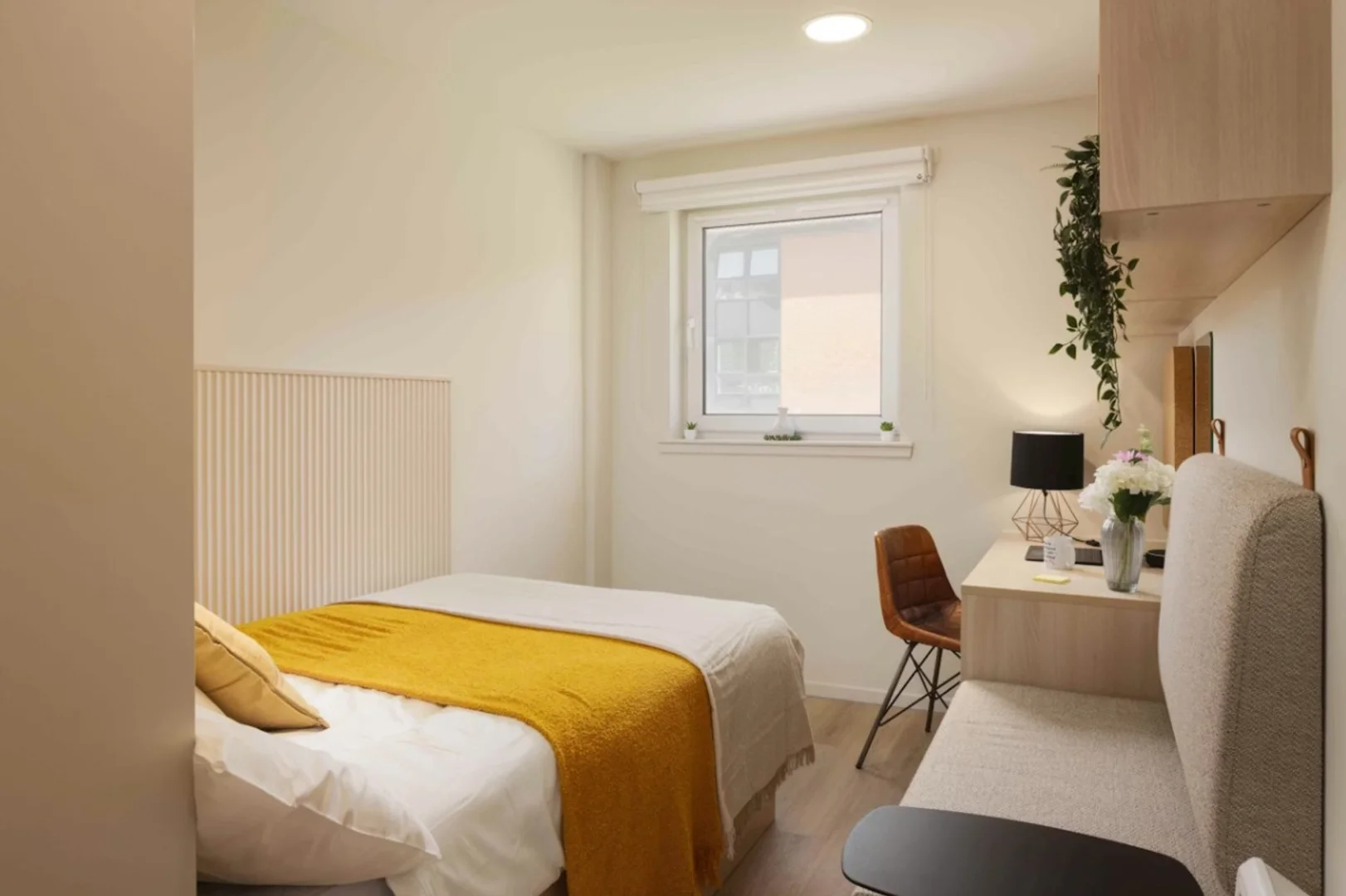 Przytulny pokój dla studentów dostępny w 
