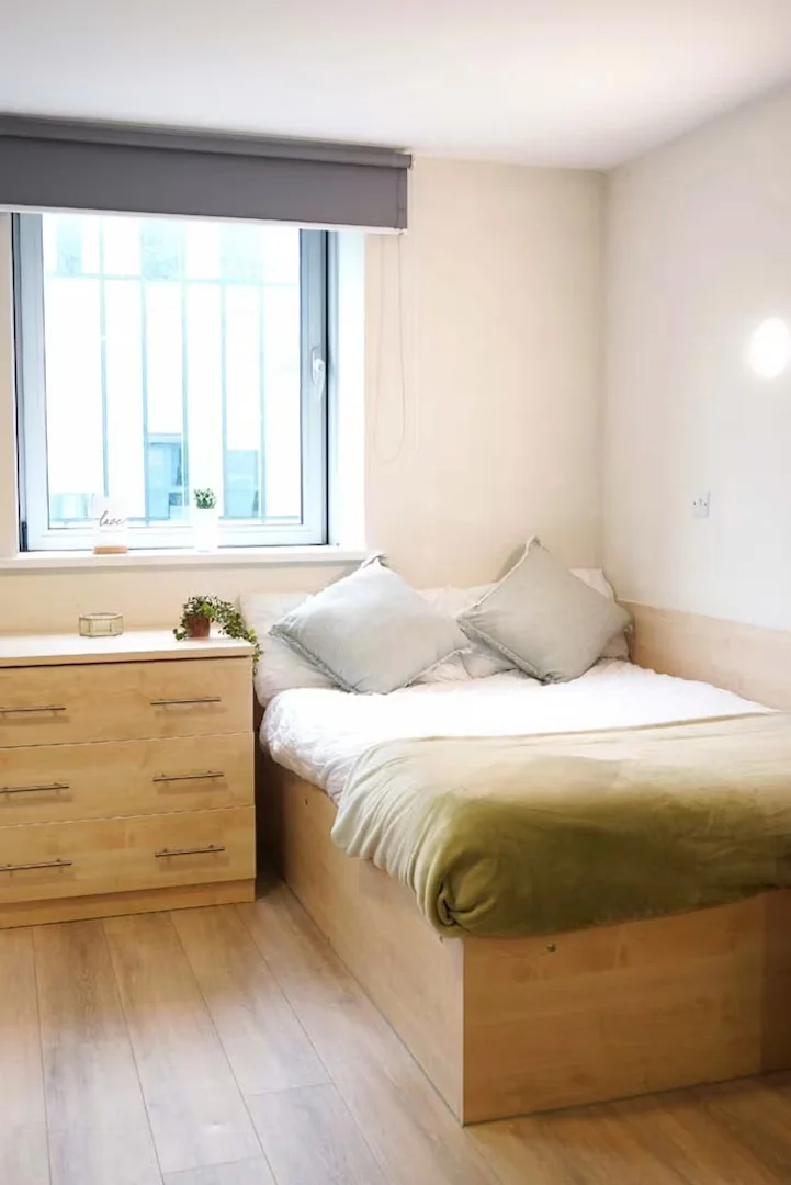 Chambre confortable pour étudiants disponible dans