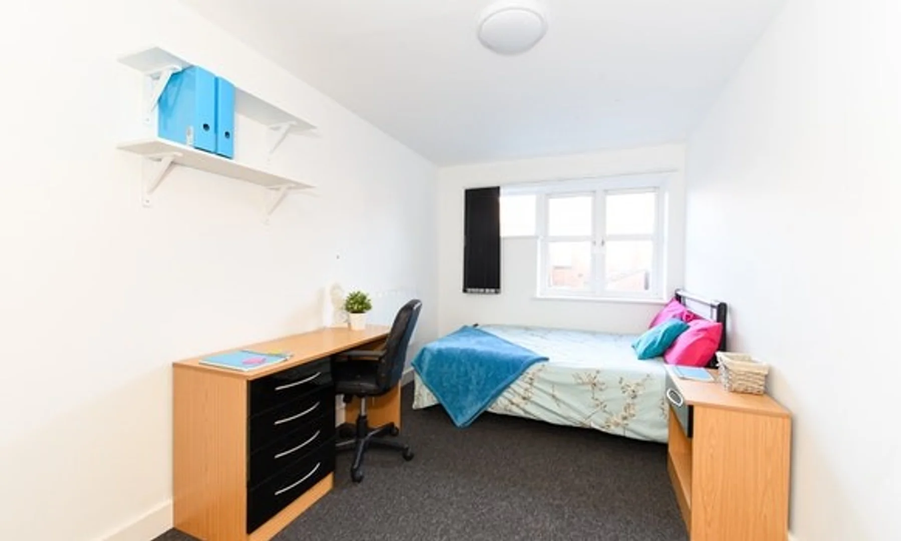 Quarto acolhedor para estudantes disponível em
