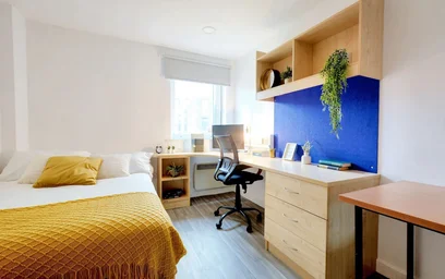 Studio élégant à {area}
