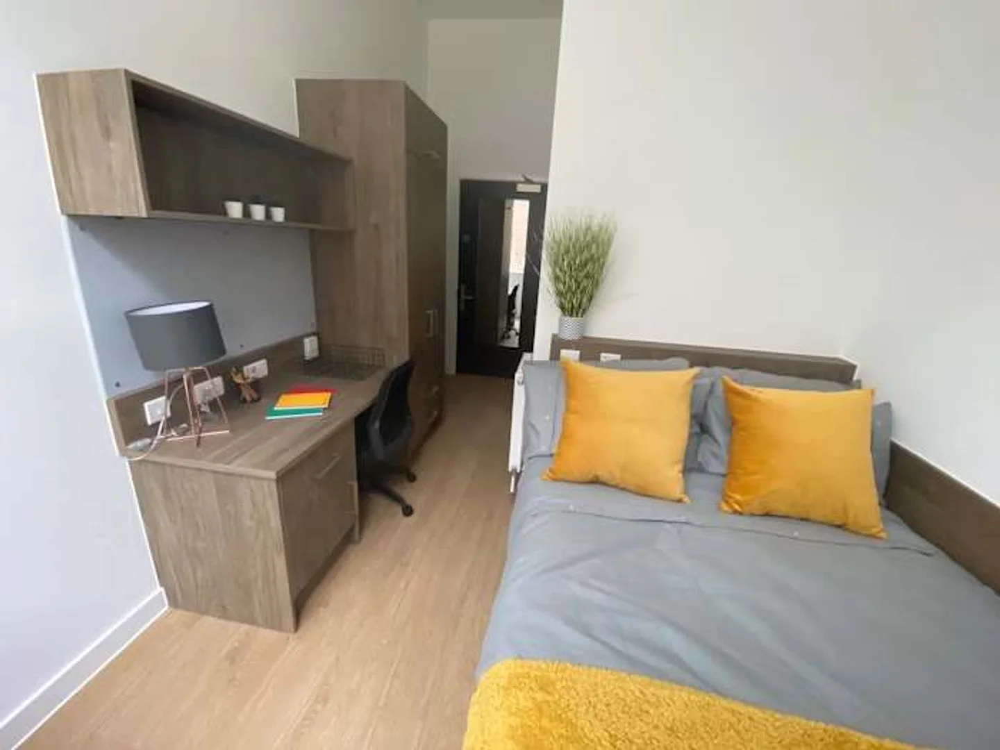 Chambre d'étudiant fonctionnelle parfaite pour étudier dans 