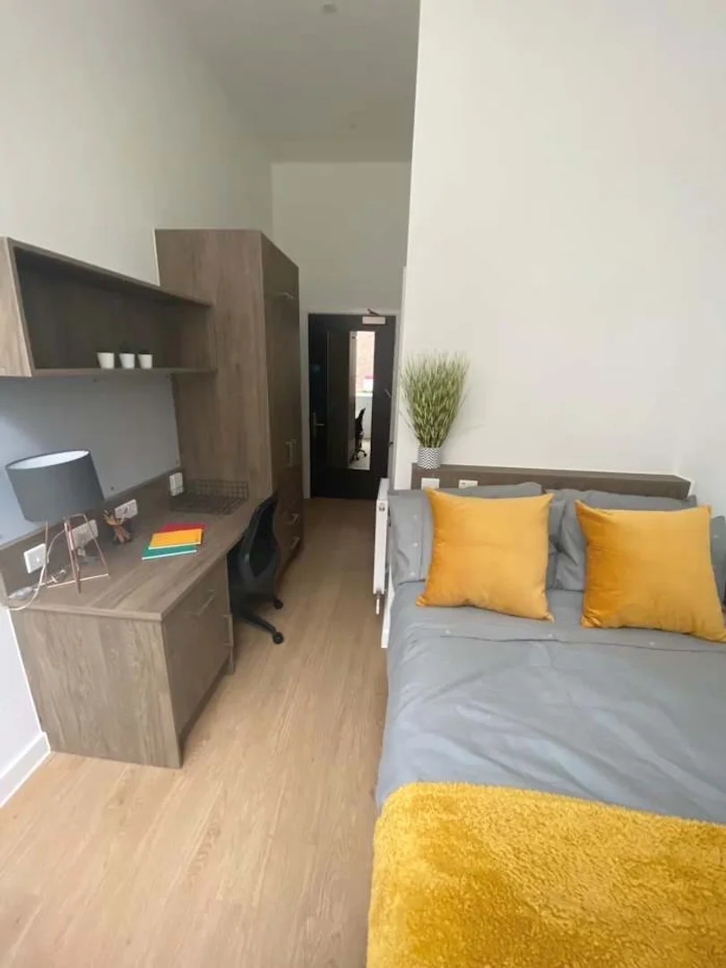 Chambre abordable pour les étudiants avec un bon éclairage dans 