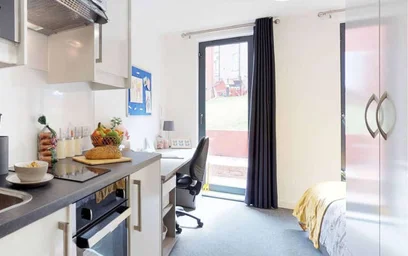 Kawalerka w rezydencji 2EE, 5 W Park Pl, Edinburgh EH11 2EE, United Kingdom, obraz 4 18