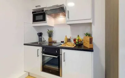 Kawalerka w rezydencji 2EE, 5 W Park Pl, Edinburgh EH11 2EE, United Kingdom, obraz 4 16