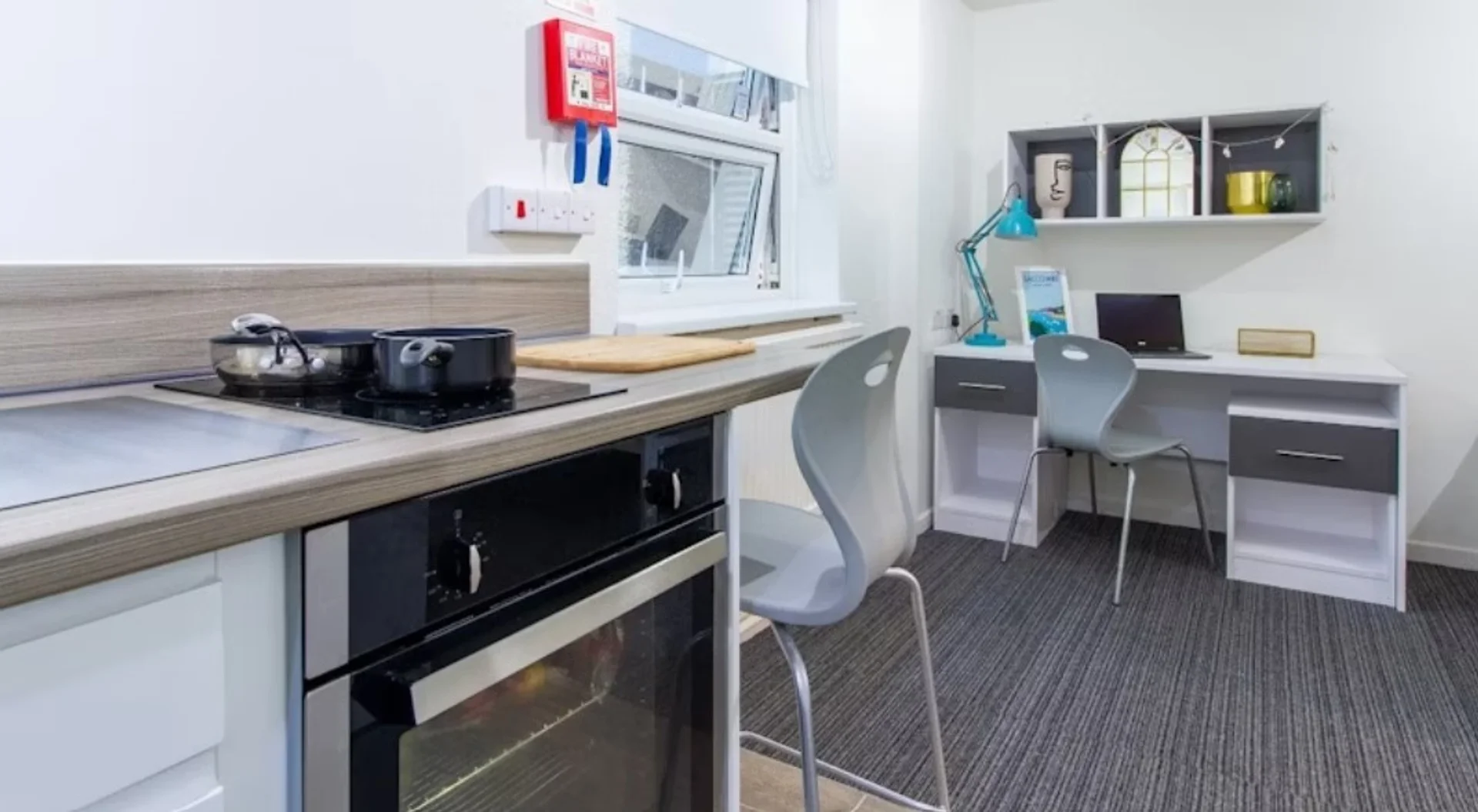 Schicke Studiowohnung in Campusnähe in 