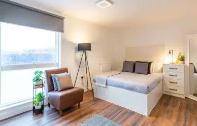 Great studio apartment in {area}