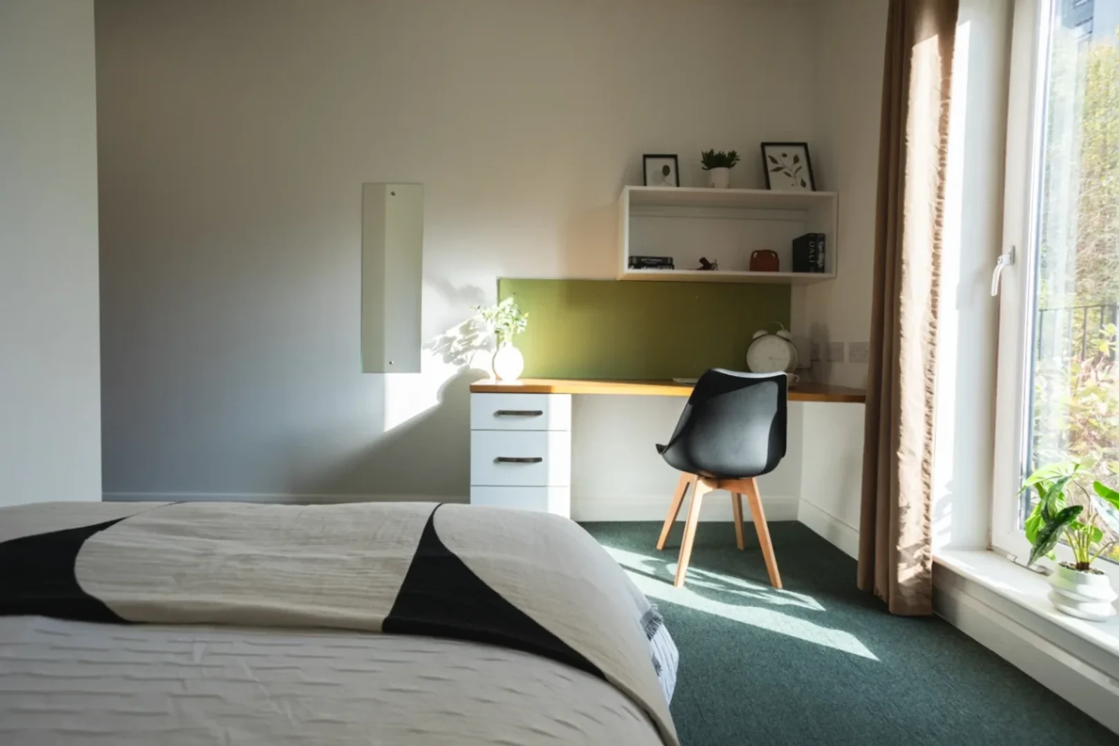 Affordable room for students with ample lighting in