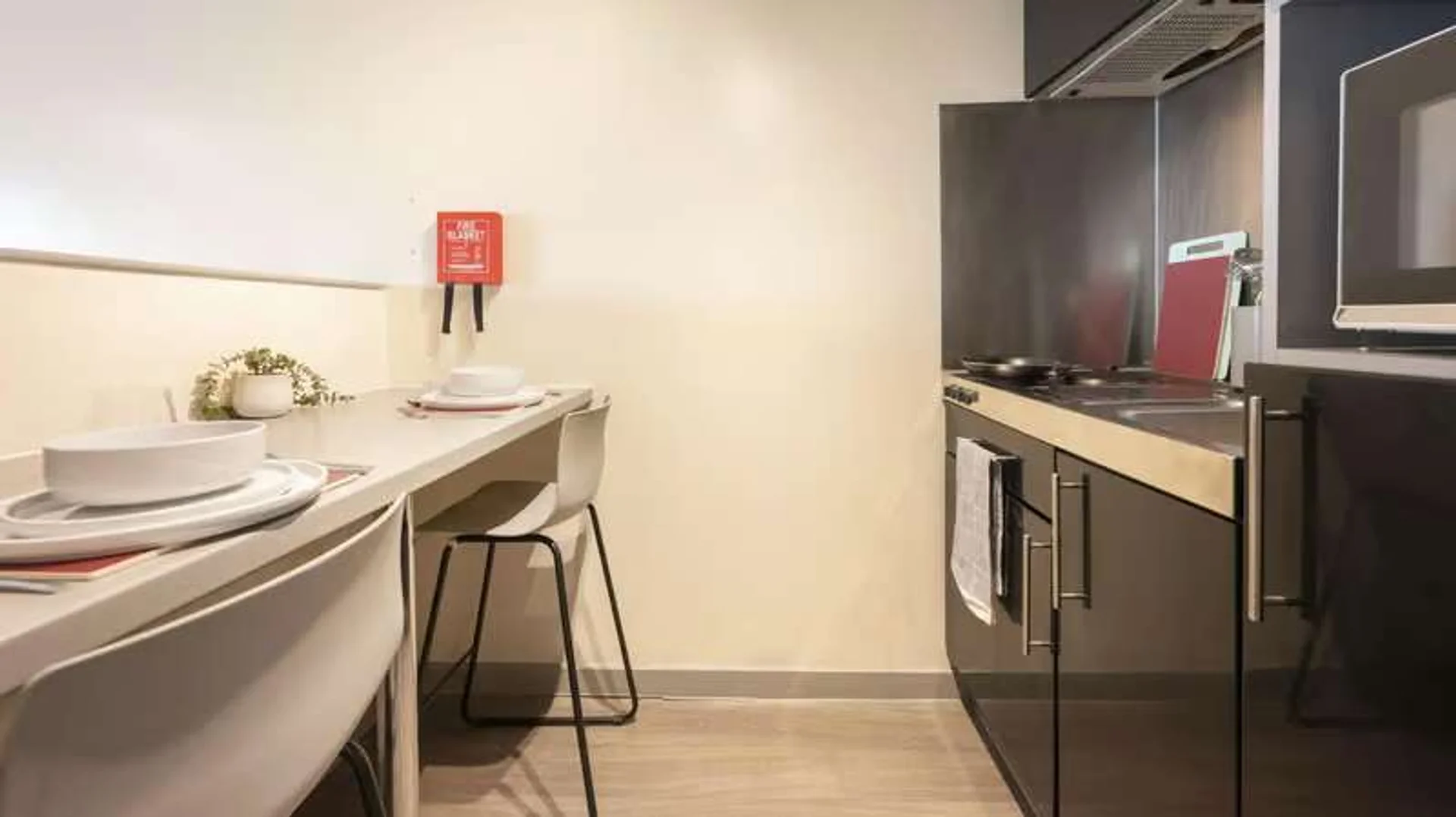 Estudio compacto ideal para estudiantes en 