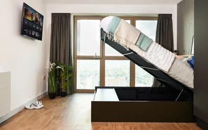 Appartamento intero in residence in Exchange Point, Loampit Vale, London SE13 7NX, United Kingdom, immagine 21 di 31