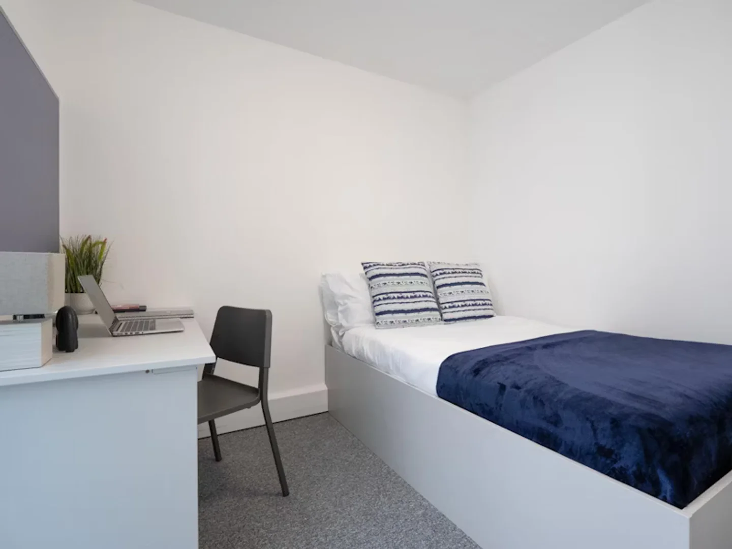 Helles und luftiges Studentenzimmer mit einfachem Zugang zur Universität in