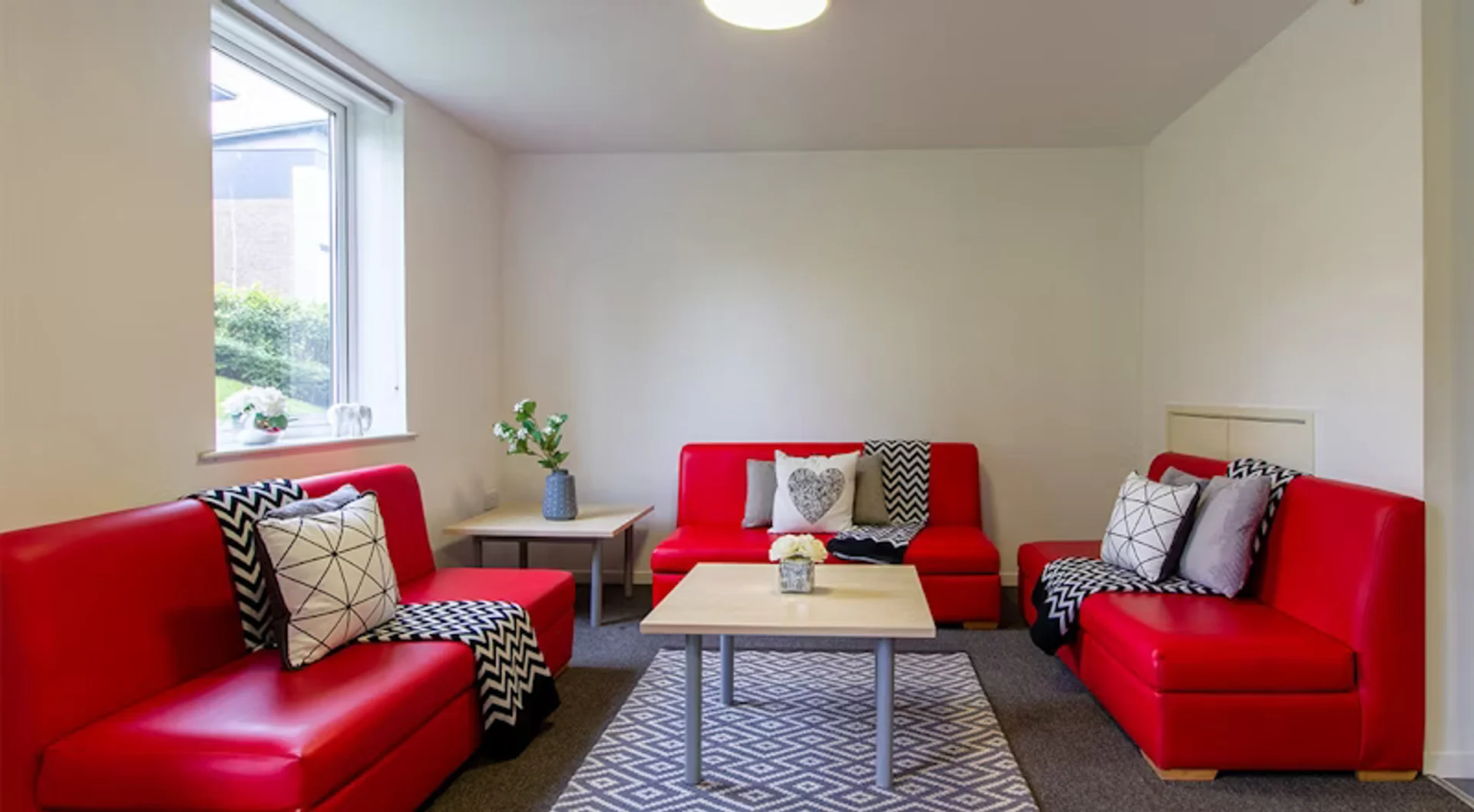 Budget-friendly student room close to campus in 