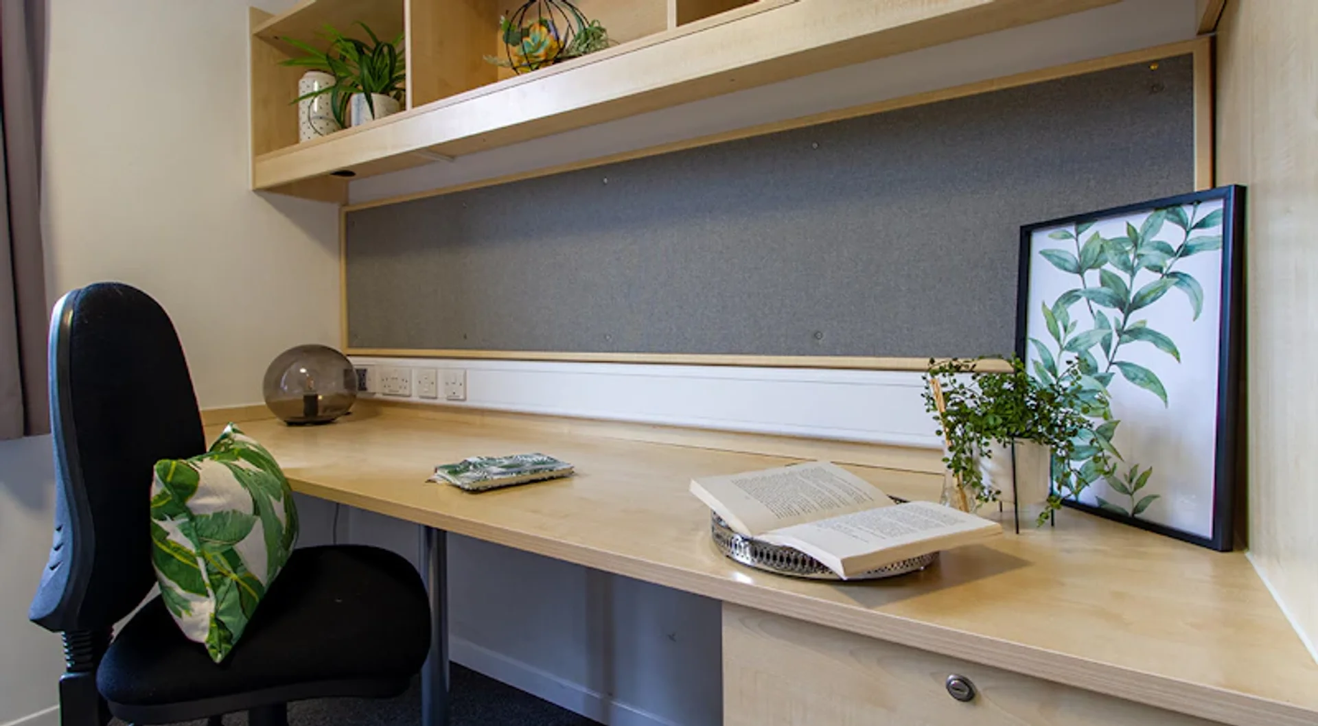 Affordable room for students with ample lighting in 