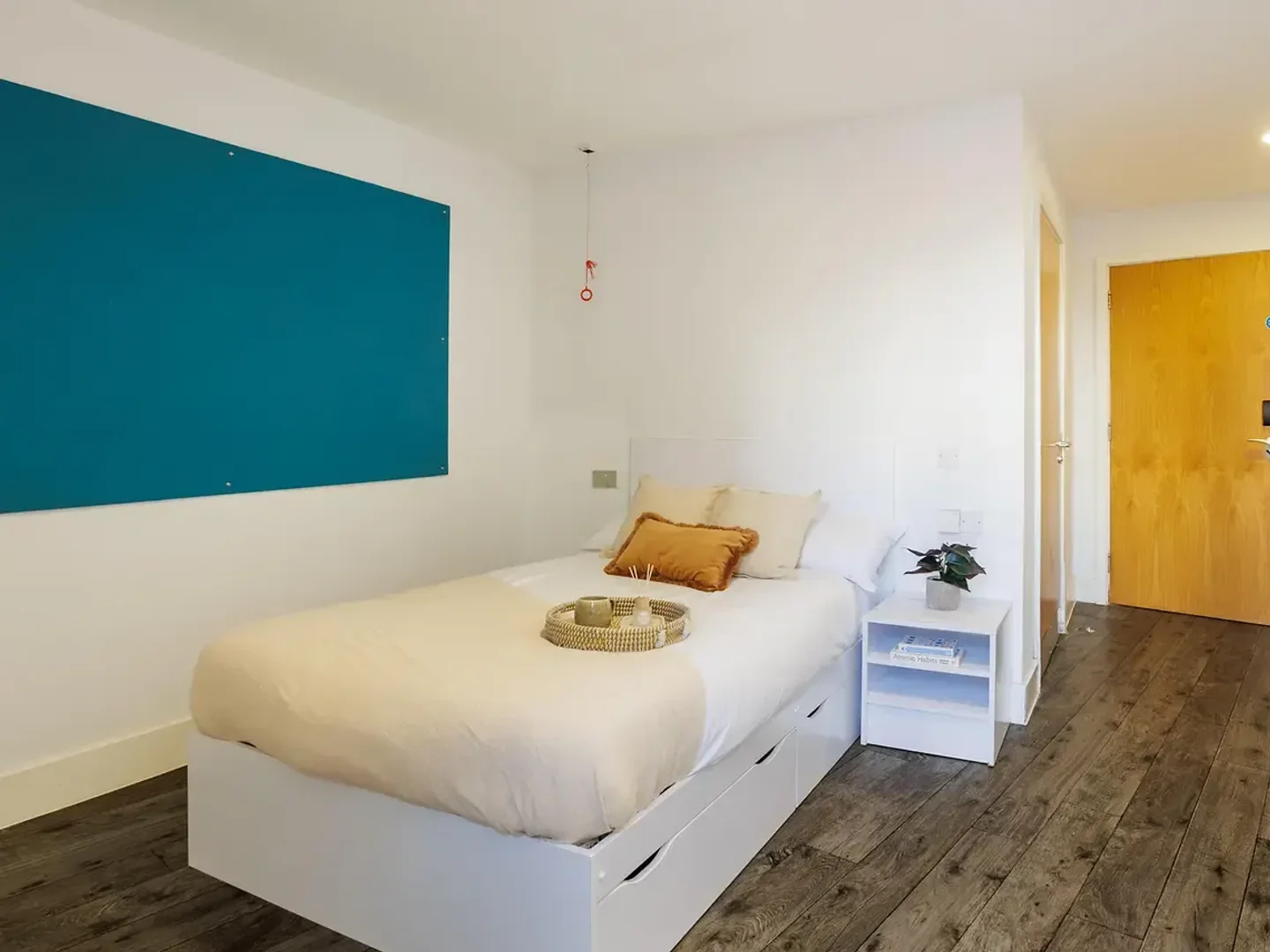 Bezahlbares Zimmer für Studenten mit ausreichender Beleuchtung in 