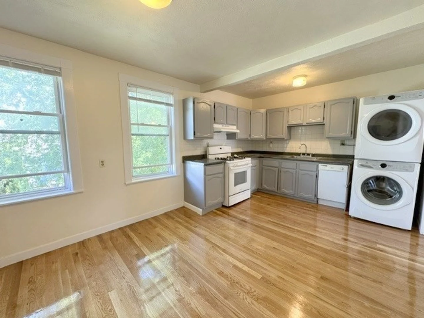 29, Newcastle Rd., Unit 2, Brighton, Boston, MA, 02135
