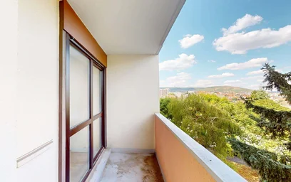 Quarto privado em 45 Rue de l'Oradou, 63000 Clermont-Ferrand, France, imagem 6 de 19