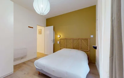 Stanza privata in 5 Pass. David Bélugou, 34000 Montpellier, France, immagine 1 di 20