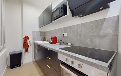 Stanza privata in 5 Pass. David Bélugou, 34000 Montpellier, France, immagine 17 di 20