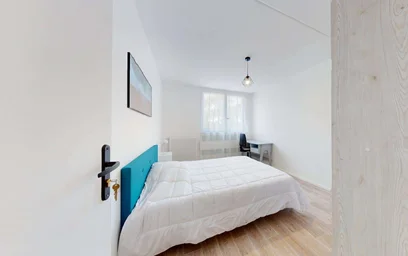 Private room at 3 Rue Auguste Renoir, 33400 Talence, France, image 4 of 17
