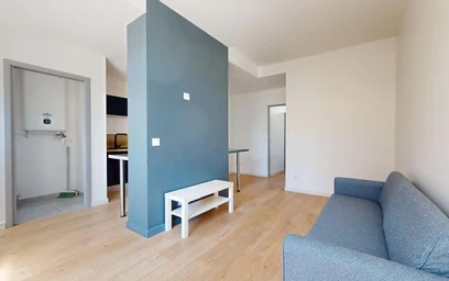 Gesamte Unterkunft in der 34 Rue Robespierre, 42100 Saint-Étienne, France, bild 2 von 21
